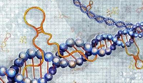 長沙艾碧維生物科技有限公司官網正式上線