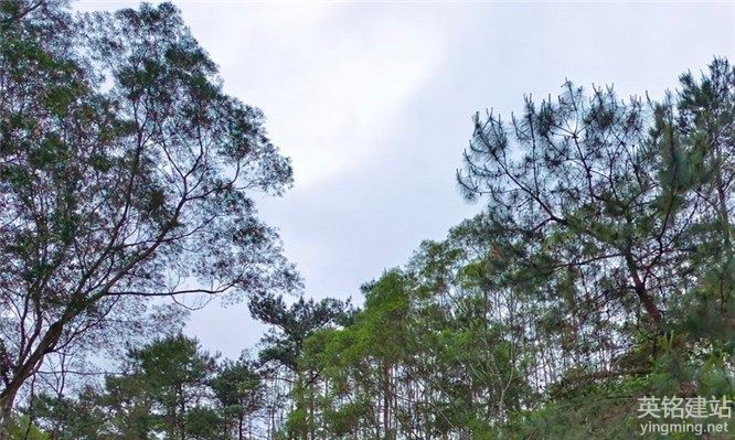 長沙網站開發的具體流程是什麽?（長沙網站開發的6個基本流程）